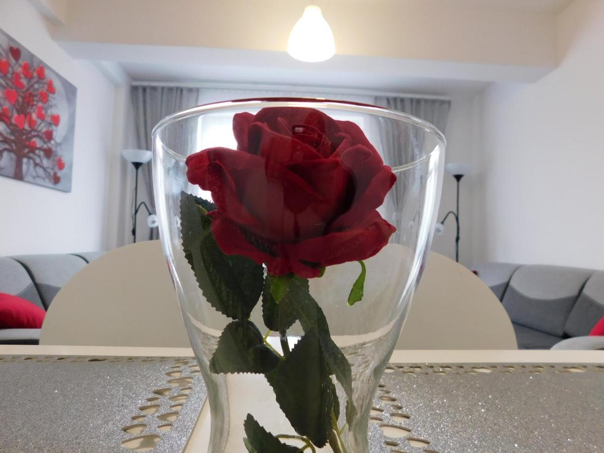 Apartamenty Niko 자토르 외부 사진